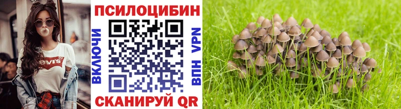 Купить где  Белорецк  Галлюциногенные грибы мицелий 